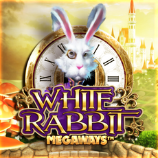 White Rabbit at Amppari Casino